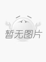 單頭矮湯爐